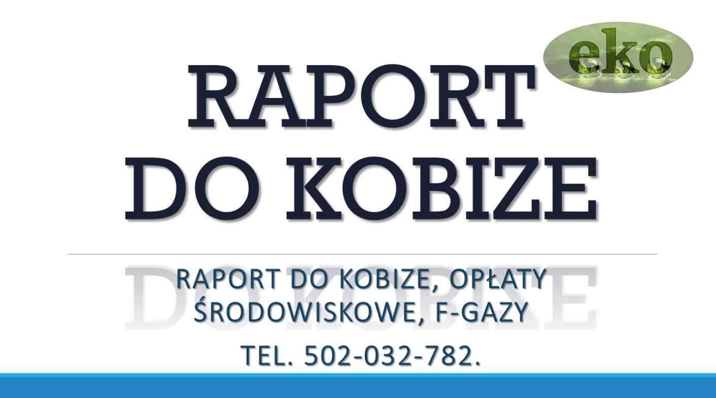 Wykonanie raportu do Kobize, tel. 502-032-782. Raport do kobize, cena Psie Pole - zdjęcie 2