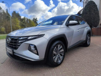 Hyundai Tucson 2024/SALON POLSKA/1 WŁ/serwis ASO/gwarancja Ełk - zdjęcie 8