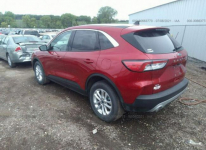 Ford Kuga 2020, 1.5L, 4x4, po gradobiciu Warszawa - zdjęcie 3