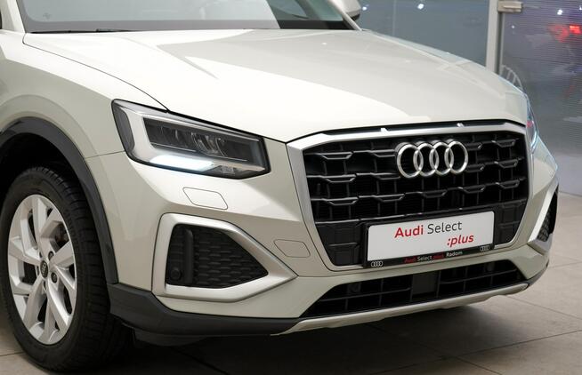 Audi Q2 30TFSI 116 KM Manual Led  Kamera Tempomat ACC Kielce - zdjęcie 7