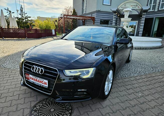 Audi A5 12/13r 177PS Navi Zadbany Rata800zł Śrem - zdjęcie 3