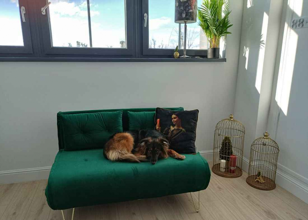 2pok, 35met, Okolice Jana III Sobieskiego WINDA (Wrocław) Psie Pole - zdjęcie 3