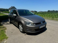 Volkswagen Golf Kobielice - zdjęcie 3