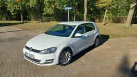 Przepiękny Golf 7
