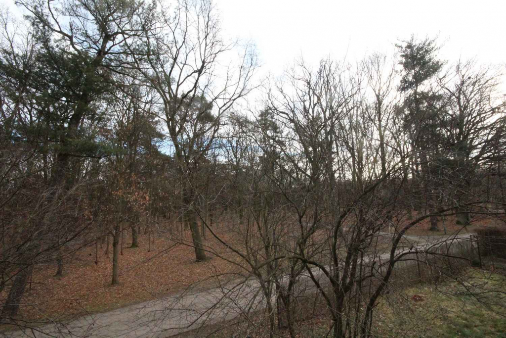 1pok, 24met, okolice Parku Prackiego TARAS/PO REMONCIE (Wrocław) Fabryczna - zdjęcie 11