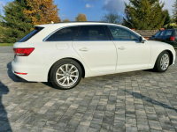 Audi A4 xenon led quattro 190 km navi chromy ładny egzemplarz Drelów - zdjęcie 3