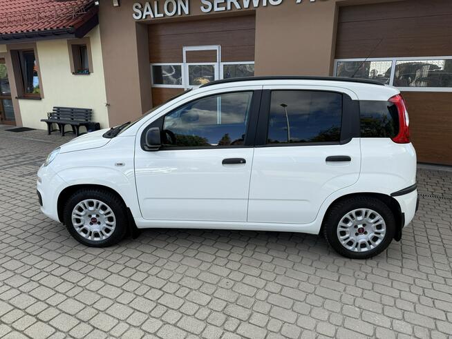 Fiat Panda 1,2 69KM  Klimatyzacja  1Właściciel Orzech - zdjęcie 11