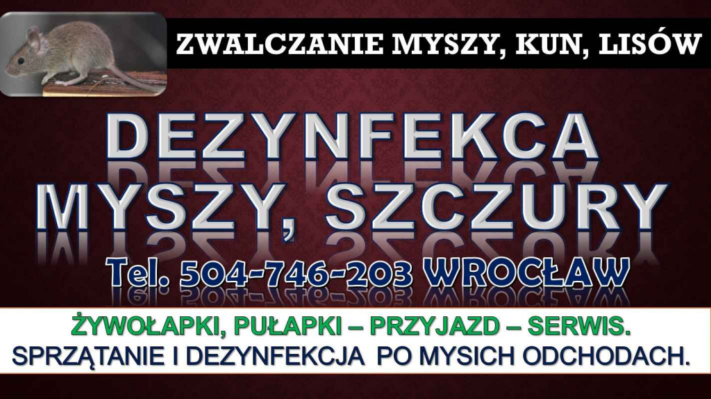 Likwidacja myszy, cennik, tel 504746203. Wrocław. Zwalczanie, usuwanie Psie Pole - zdjęcie 3