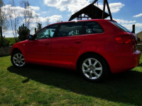 Audi a3 8p 1.6 MPI 102 KM LPG, Hak, 5 drzwi Pińczów - zdjęcie 9