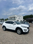 Hyundai Tucson IX35, Hybryda DiESEL, SERWISOWANY, AUTOMAT Słupsk - zdjęcie 4