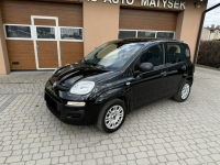 Fiat Panda 1,2 69KM  Klimatyzacja Orzech - zdjęcie 12