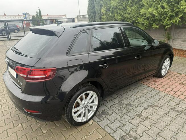 Audi A3 Zielona Łąka - zdjęcie 1