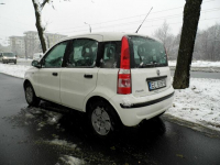 Fiat Panda Łódź - zdjęcie 3