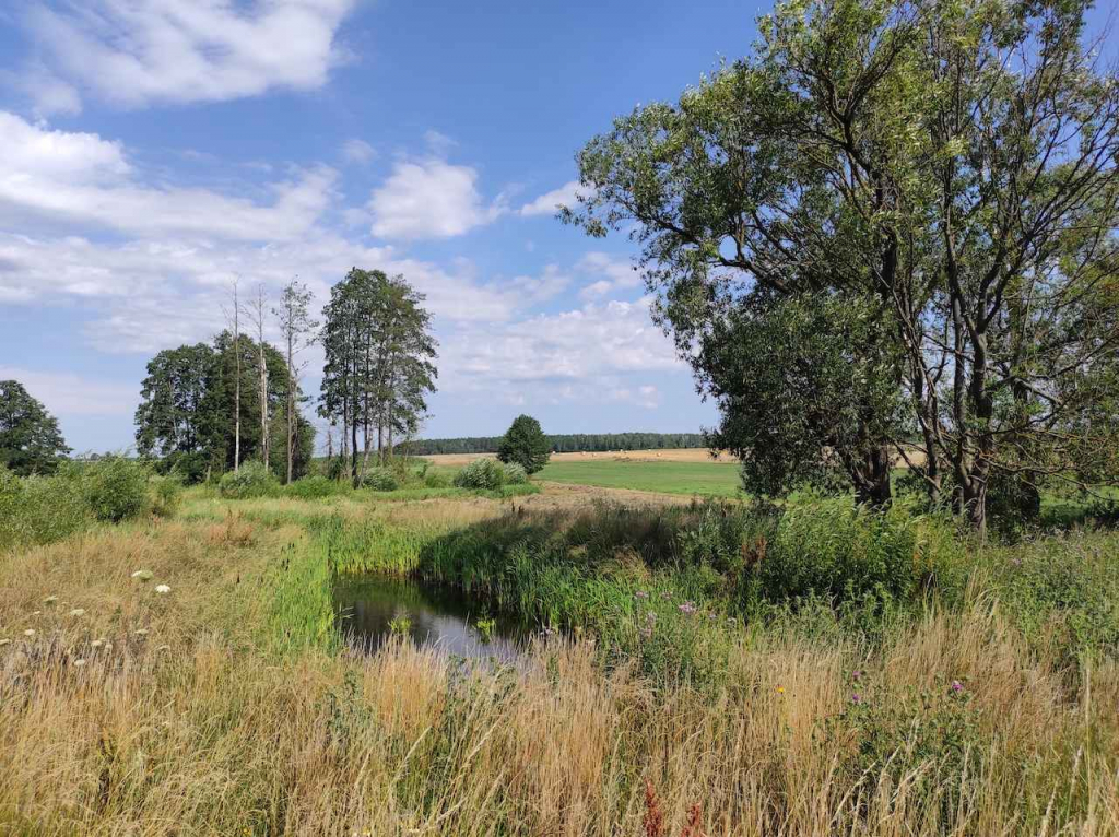 Sprzedam ładny dom na gruncie rolnym na Podlasiu Starowieś - zdjęcie 11