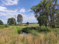 Sprzedam ładny dom na gruncie rolnym na Podlasiu Starowieś - zdjęcie 11