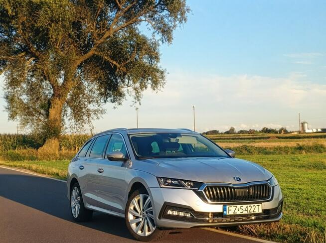 Skoda Octavia 1.4 hybryda plug-in 204 km salon PL FV Słupca - zdjęcie 5