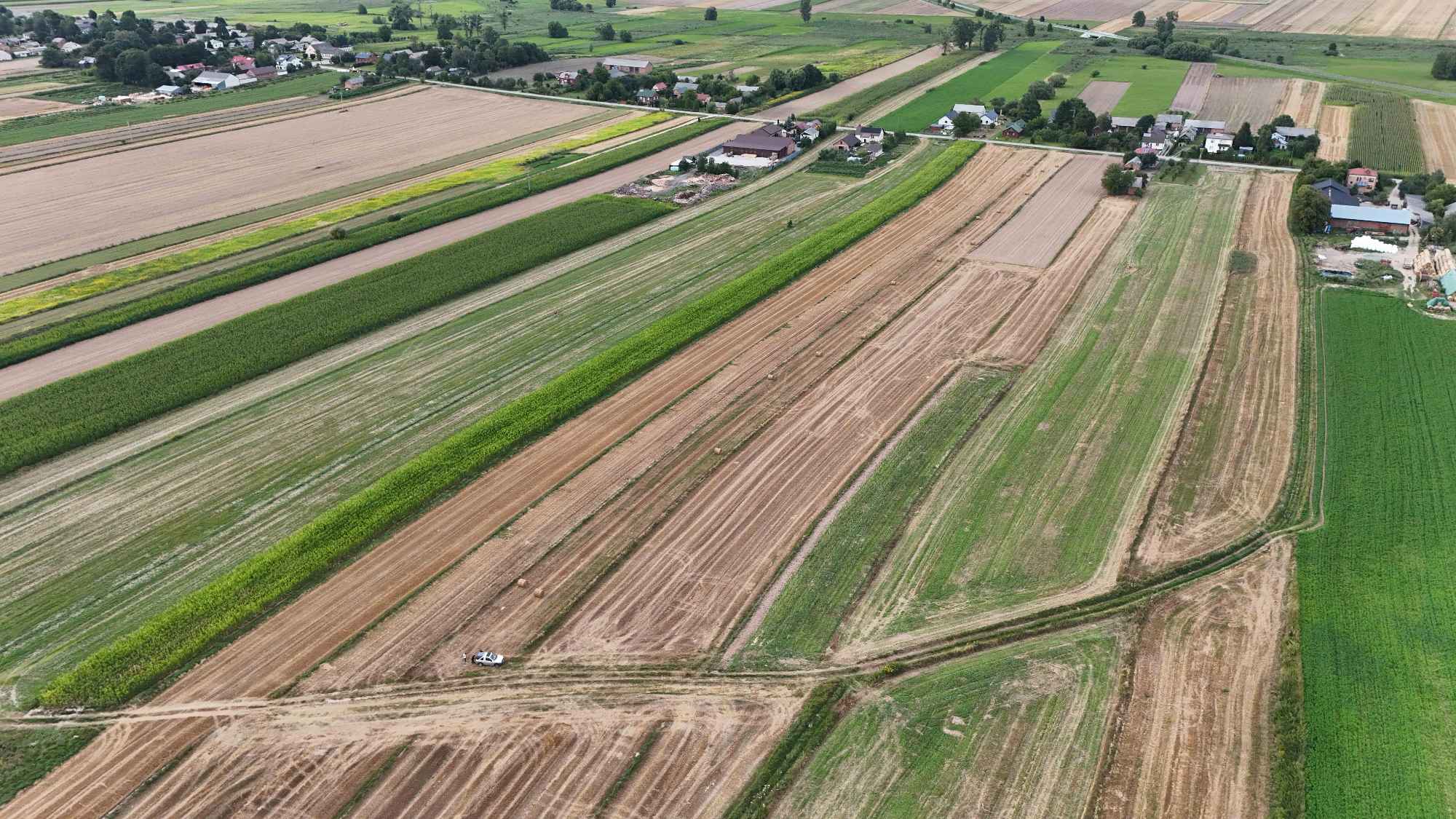 Tarnawa Duża – ponad 60 arów przy asfalcie, z warunkami na prąd i wodę Turobin - zdjęcie 4