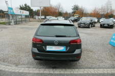 Volkswagen Golf 1.6Tdi Trendline LED Gwarancja Salon Polska F-VAT Warszawa - zdjęcie 7