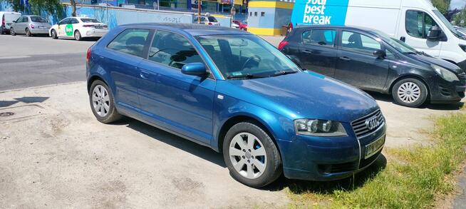 Audi A3 8p 1.9 TDI Psie Pole - zdjęcie 11