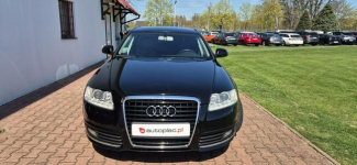 Audi A6 AUTOMAT-LED-SKORA Paproć - zdjęcie 2
