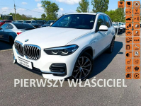 BMW X5 Salon Polska fv23