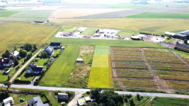 ATRAKCYJNA DZIAŁKA, LOKALIZACJA! Tarnowo Podgórne - zdjęcie 3