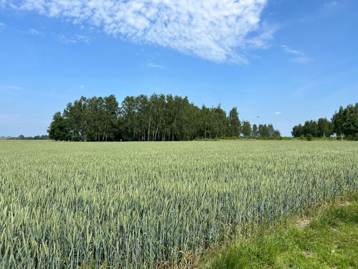 Cztery działki budowalne w spokojnej okolicy! Gortatowo - zdjęcie 6