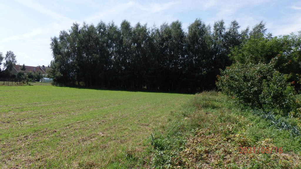 Sprzedam działkę budowlano inwest.z atrakcyjnym Warunkami Zabudowy. Świecie - zdjęcie 5