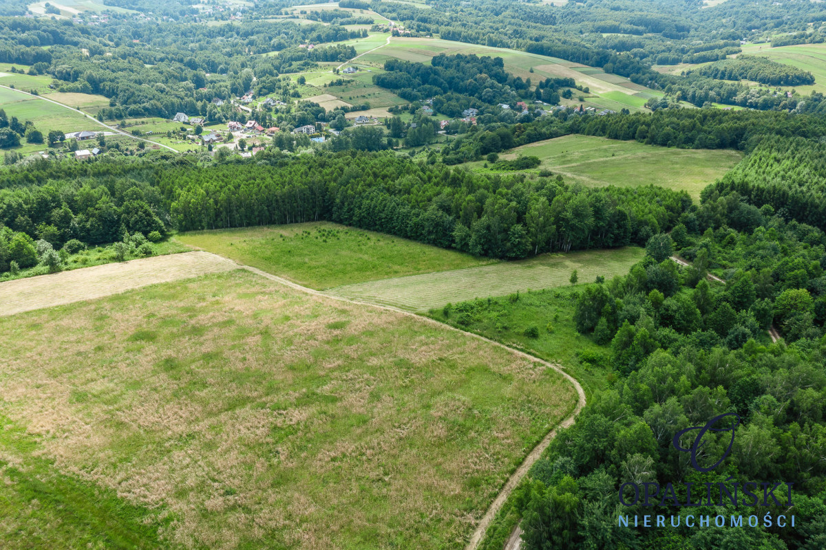 20 km od Rzeszowa | 0.39 ha | Zielona okolica Straszydle - zdjęcie 12