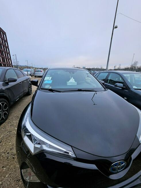 Toyota C-HR Sadlno - zdjęcie 6