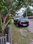Volkswagen Golf 4 1.4 Koszalin - zdjęcie 10