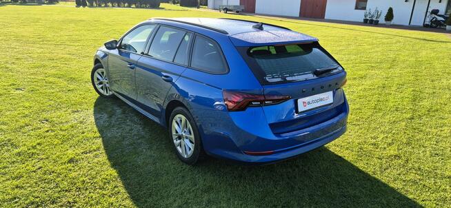 Škoda Octavia Zarejestrowany Paproć - zdjęcie 6