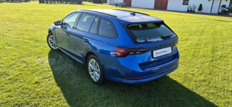 Škoda Octavia Zarejestrowany Paproć - zdjęcie 6