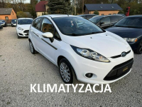 Ford Fiesta Stary, dobry motor; 2012 pierwsza rejestracja.
