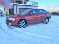 Škoda Octavia Lipówki - zdjęcie 4