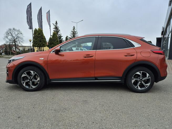 Kia XCeed M+Smart 1.6 T-GDI 160KM Giżycko - zdjęcie 8