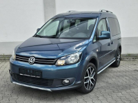 CADDY CROSS I Właściciel Opłacony