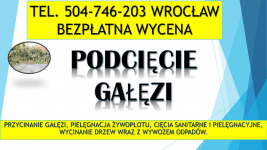 Przycinanie gałęzi, cena,  t.504-746-203, Wrocław,  przycięcie,cięcie Psie Pole - zdjęcie 1