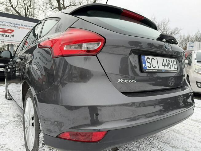 Ford Focus Klimatyzacja, PL salon, Pierwzy właściciel, 2 kpl. kół Cieszyn - zdjęcie 9