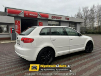 Audi A3 Telefon: 733_916_297 Lokalizacja: Leszno Leszno - zdjęcie 4