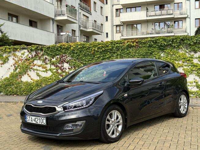 Kia Cee'd Salon Polska - Oryg Lakier Tarnowskie Góry - zdjęcie 10