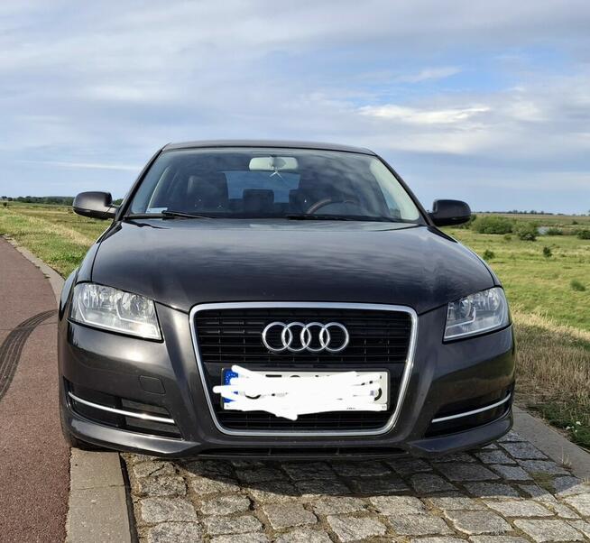 Sprzedam Audi a3 Tczew - zdjęcie 1