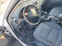Audi A3 1.6 MPI Panorama z Niemiec Rymanów - zdjęcie 3