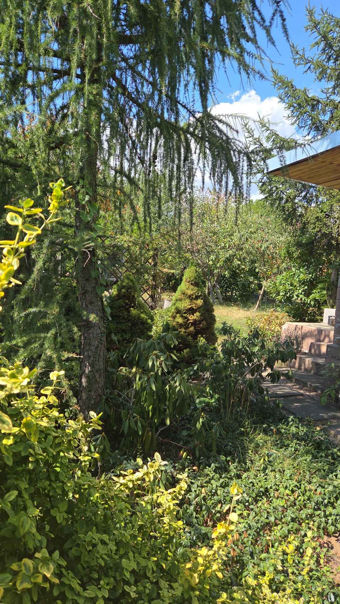 Działka ROD z murowaną altaną Kędzierzyn-Koźle - zdjęcie 7