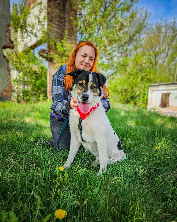 Przekochany, otwarty, absolutnie proludzki pies do adopcji! Bemowo - zdjęcie 4