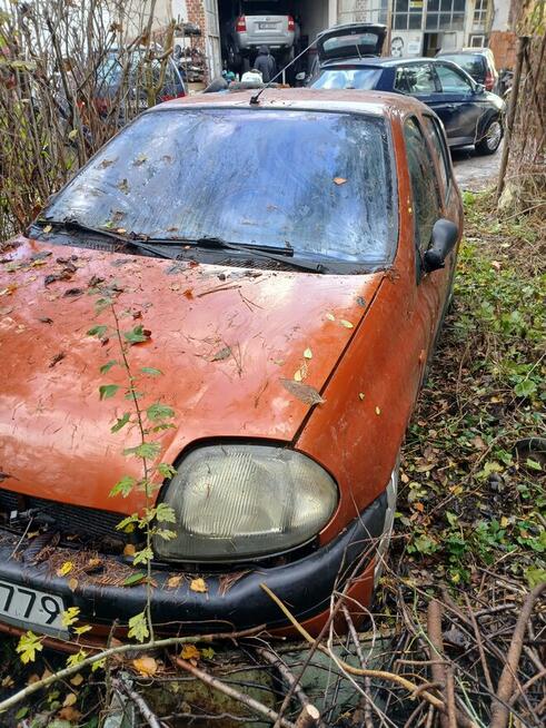 Renault Clio Mędłów - zdjęcie 1