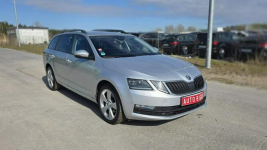 Škoda Octavia Dsg Duża Navi Bixenon Lębork - zdjęcie 3
