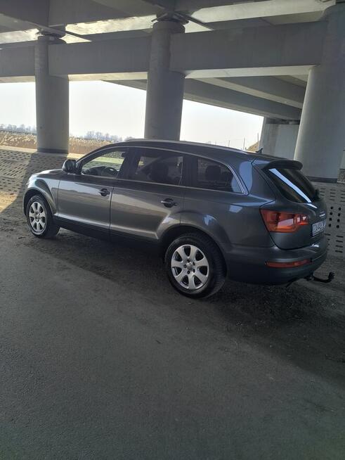 Kukurydza 7 Cedry Małe - zdjęcie 5