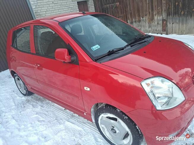 Kia Picanto Włoszczowa - zdjęcie 2