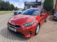 Kia Cee'd 2024/SALON POLSKA/FV23%/stan bdb/gwarancja